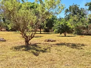 Residential Stand for Sale