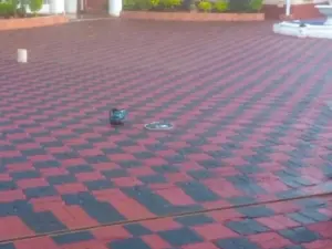 9 Bedroom House to Rent in Greystone Park