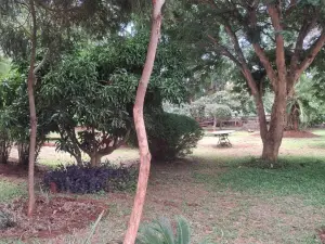 Townhouse/Cluster to Rent in Borrowdale