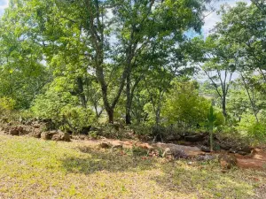 5 Bedroom House to Rent in Philadelphia