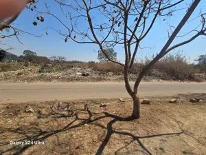 Commercial Stand for Sale