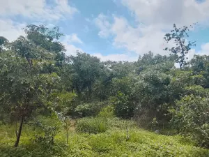 Other Commercial for Sale