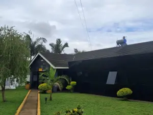 6 Bedroom House to Rent in Belvedere