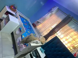 2 Bedroom Cottage/Garden Flat to Rent in Fairview