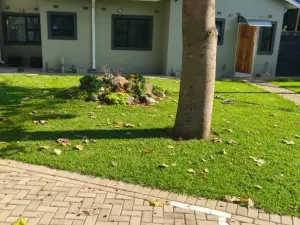 2 Bedroom Cottage/Garden Flat to Rent in Adylinn