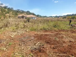 Residential Stand for Sale