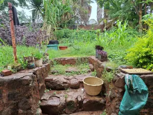 Cottage/Garden Flat to Rent in Avondale