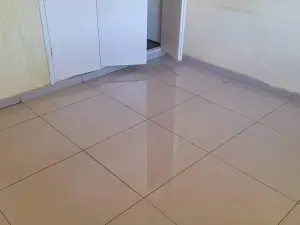 Cottage/Garden Flat to Rent in Avondale