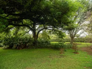 3 Bedroom House to Rent in Glen Lorne