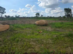 Residential Stand for Sale