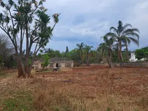 Residential Stand for Sale