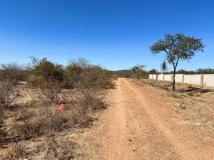 Residential Stand for Sale