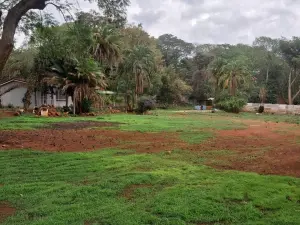 4 Bedroom House to Rent in Greystone Park