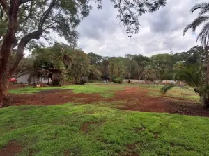 4 Bedroom House to Rent in Greystone Park