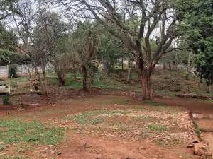 4 Bedroom House to Rent in Greystone Park