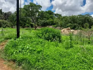 Residential Stand for Sale