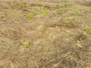 Residential Stand for Sale