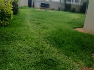 7 Bedroom House to Rent in Mount Pleasant