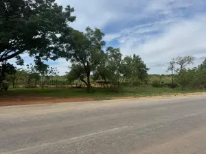 Commercial Stand for Sale