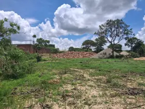 Commercial Stand for Sale