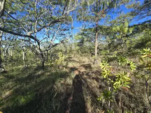 Residential Stand for Sale