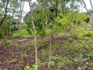 4 Bedroom House to Rent in Glen Lorne