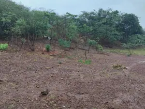 Residential Stand for Sale