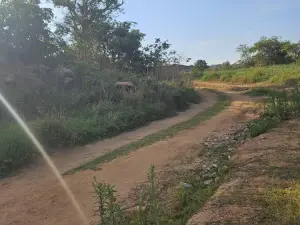 Residential Stand for Sale