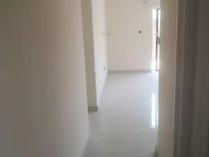 Flat/Apartment to Rent