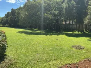 Office to Rent in Mount Pleasant