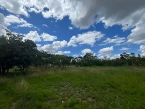 Farm/Plot for Sale
