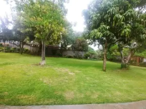 Flat/Apartment to Rent in Avondale