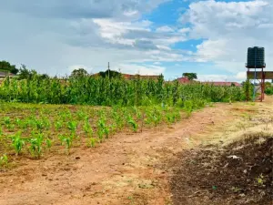 Residential Stand for Sale