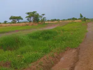 Residential Stand for Sale