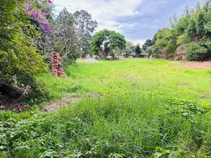 Residential Stand for Sale