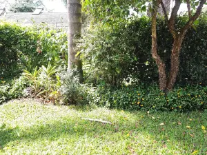 2 Bedroom Cottage/Garden Flat to Rent in Avondale