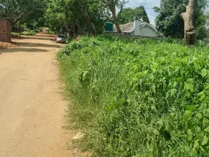 Residential Stand for Sale