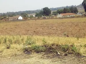 Commercial Stand for Sale