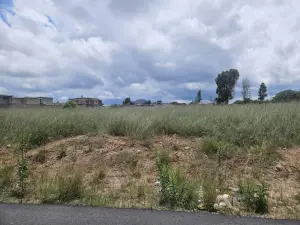 Residential Stand for Sale