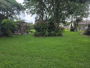 Residential Stand for Sale