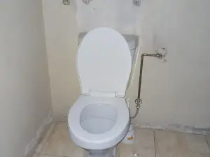 Flat/Apartment to Rent in Avenues