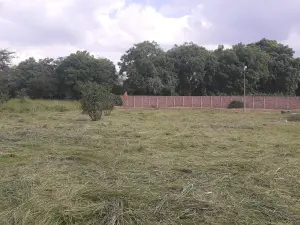 Residential Stand for Sale