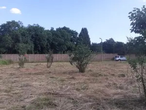 Residential Stand for Sale