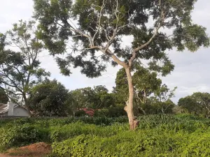 Residential Stand for Sale