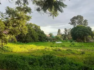 Residential Stand for Sale