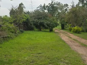 3 Bedroom House to Rent in Hatfield