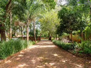 Flat/Apartment to Rent in Alexandra Park