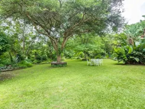 3 Bedroom House to Rent in Mount Pleasant