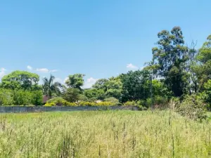 Residential Stand for Sale