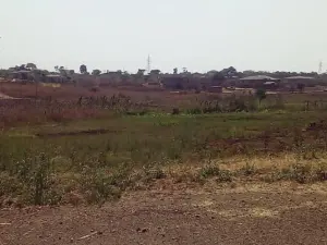 Residential Stand for Sale